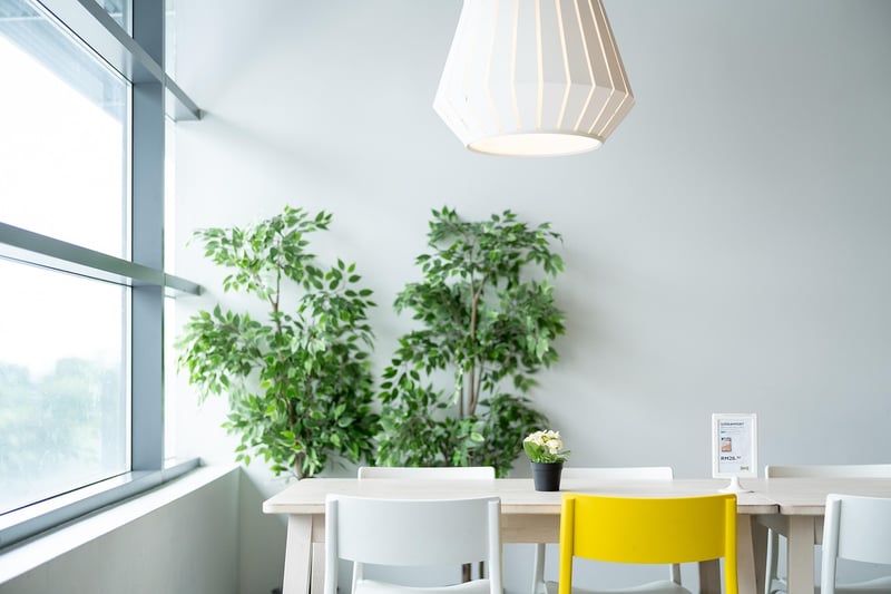 Green Living Inspirations