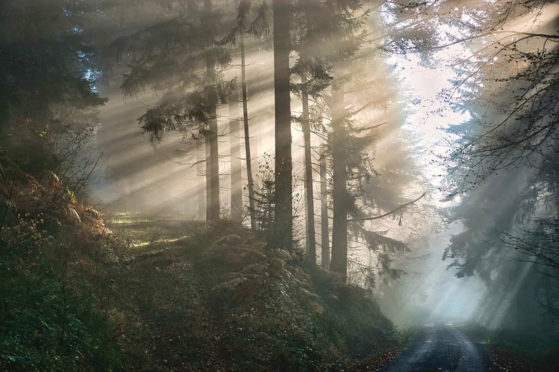 Mystical Outdoor Sanctuaries