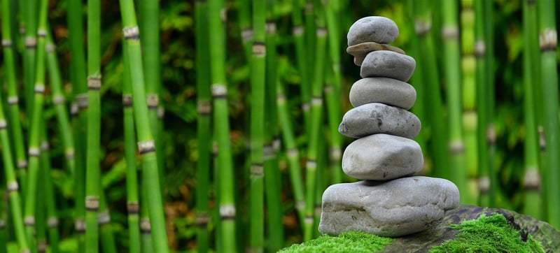 Zen Retreat